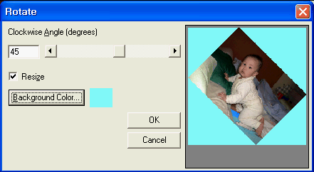 img215.gif