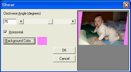 img216.gif