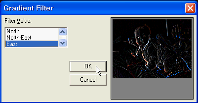 img229.gif