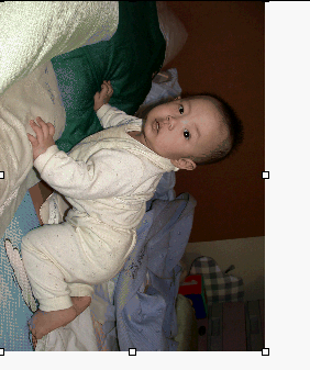 img8.gif